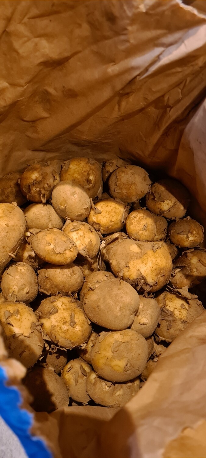 Maris peer (new)1kg