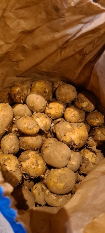 Maris peer (new)1kg