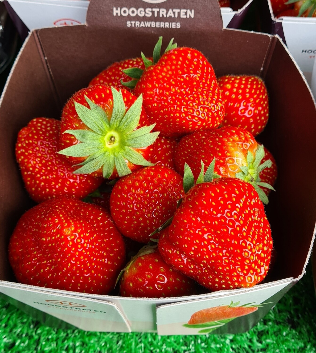 Strawberries  dutch  