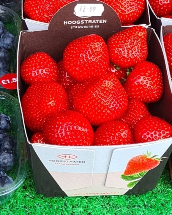 Dutch strawberry