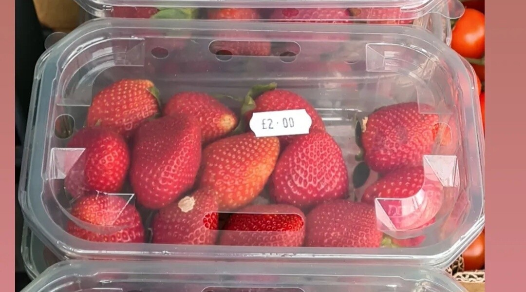 Spanish strawberry