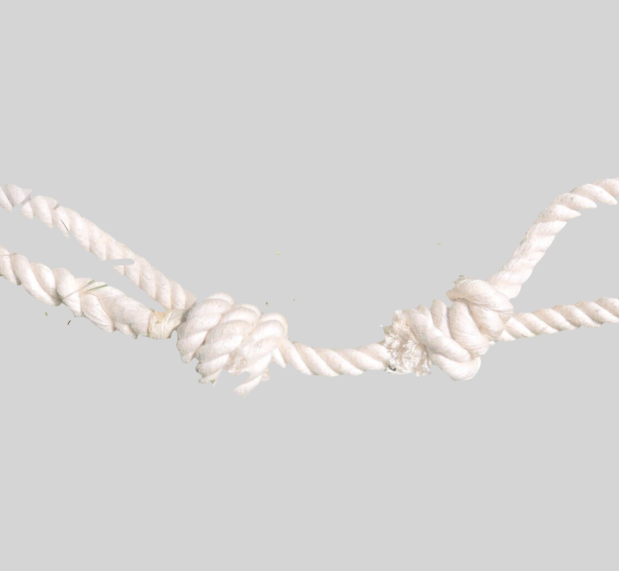 (PRE-ORDER ONLY) Double Loop Tug-a-War Toy