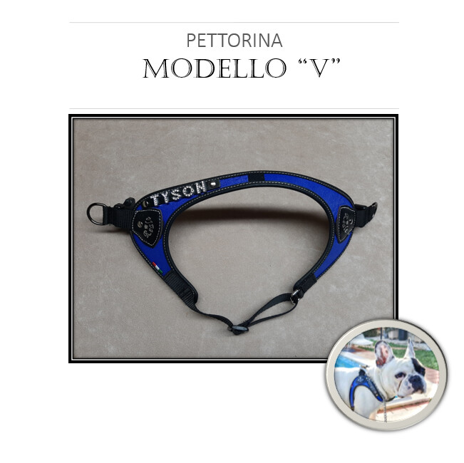 PETTORINA  MODELLO  &quot;V&quot;
