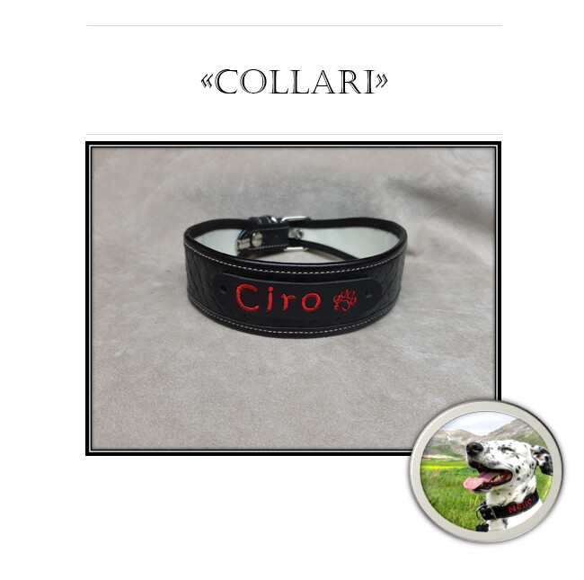 COLLARI