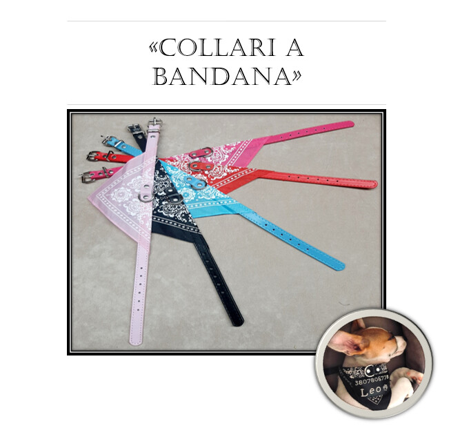 COLLARI A BANDANA