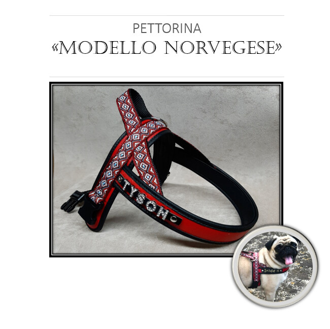 PETTORINA MODELLO NORVEGESE