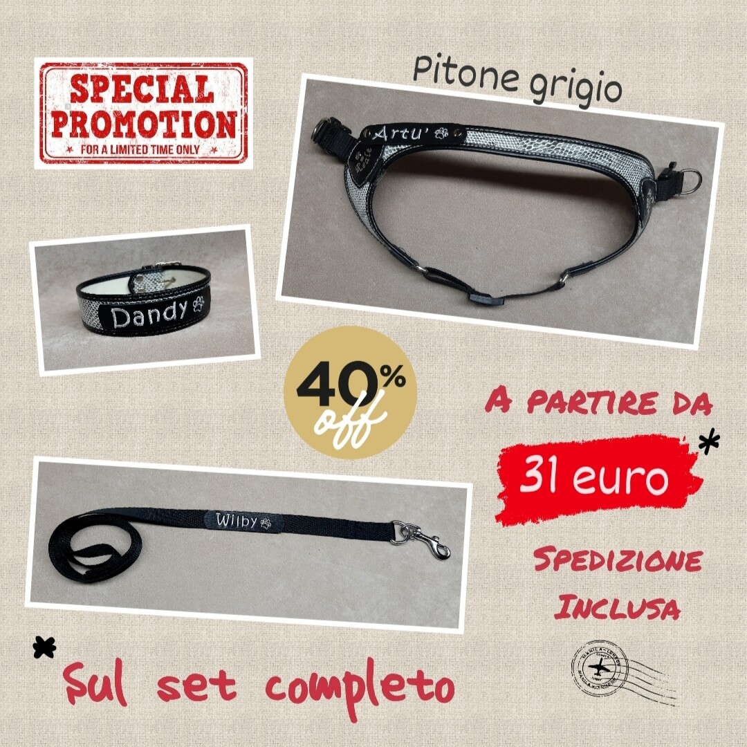 Promozione - Set pettorina &quot;V&quot; e collare pitone grigio con guinzaglio nero