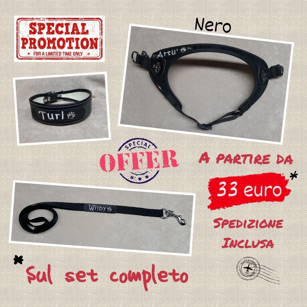 Promozione - Set pettorina &quot;V&quot; e collare nero con guinzaglio nero abbinato