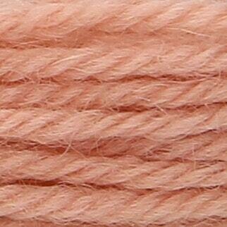 Anchor Tapisserie Wool #09598