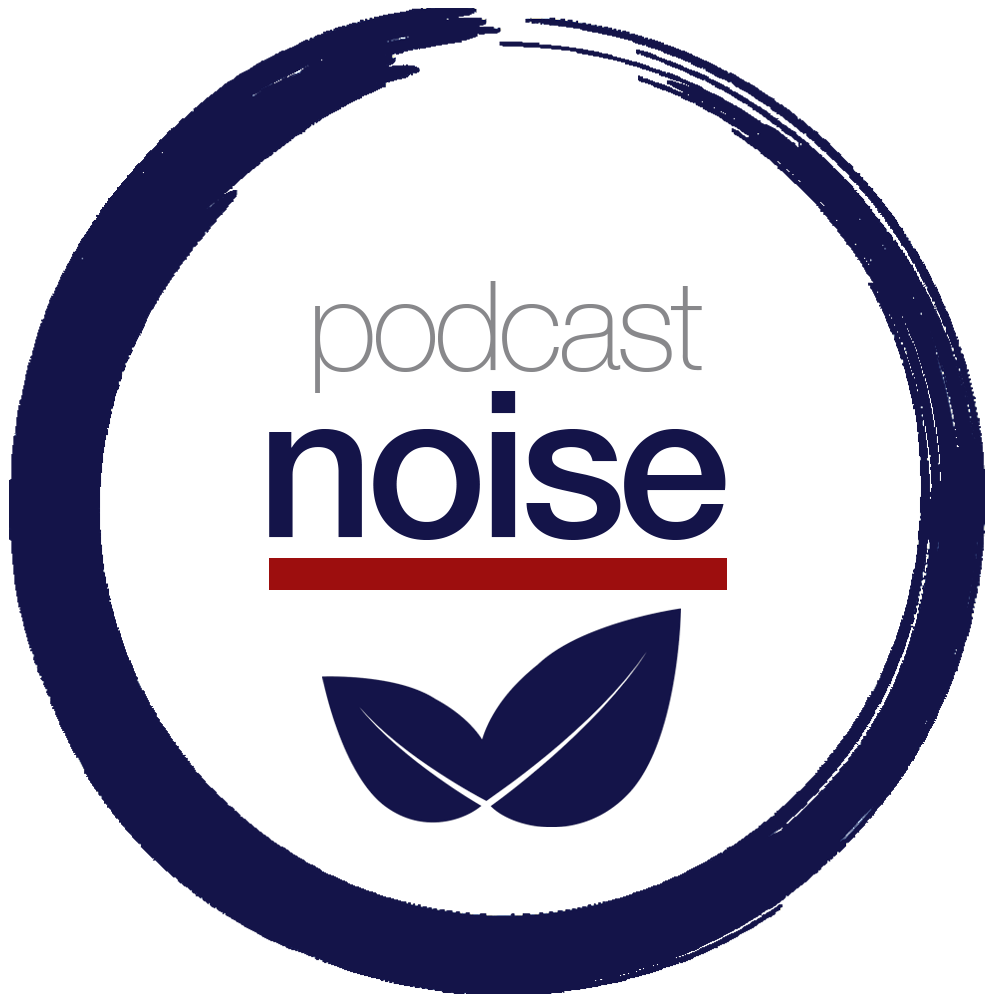 PODCAST NOISE REDUCTION