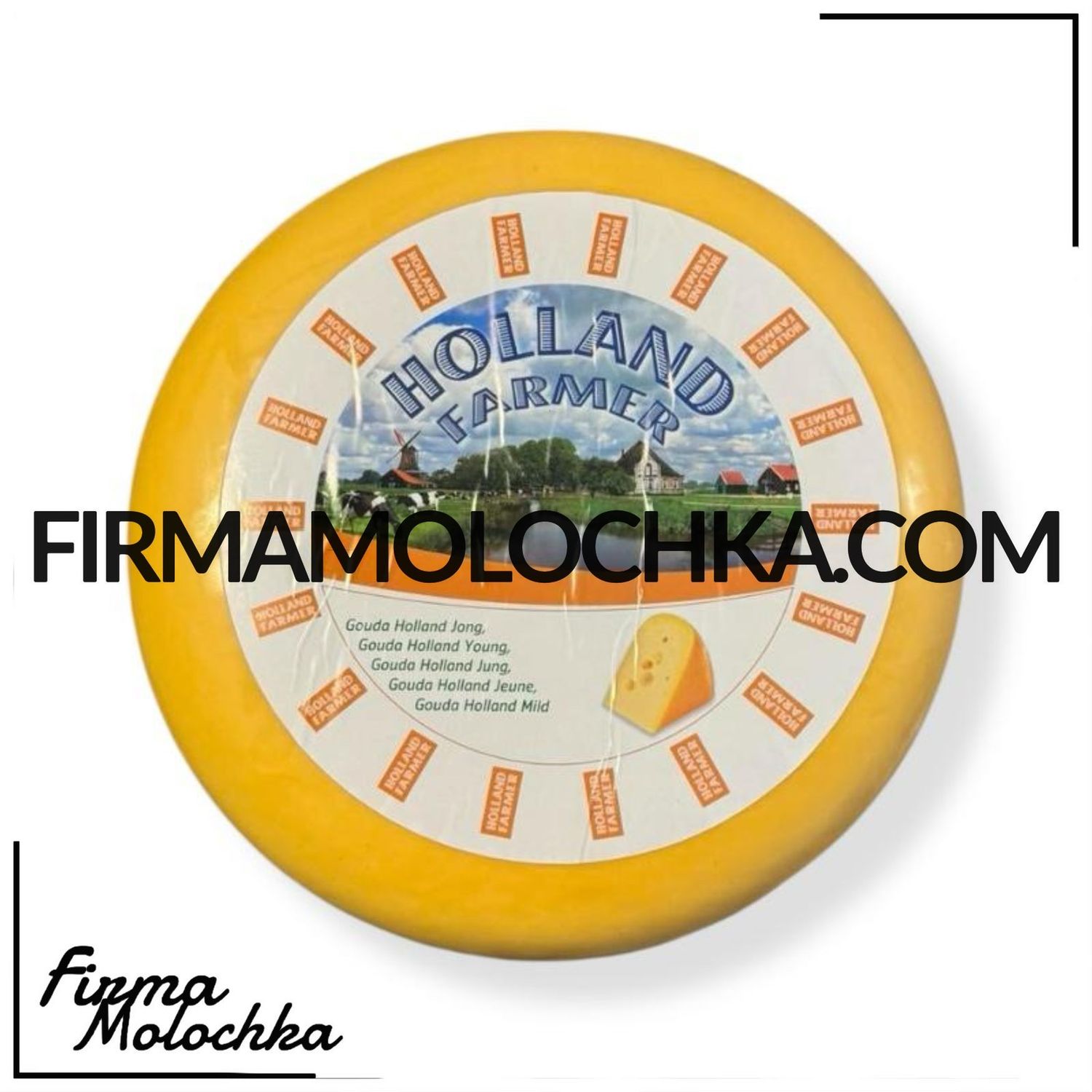 Сир ГАУДА 48% (круг) 12кг ТМ Холанд Фермер