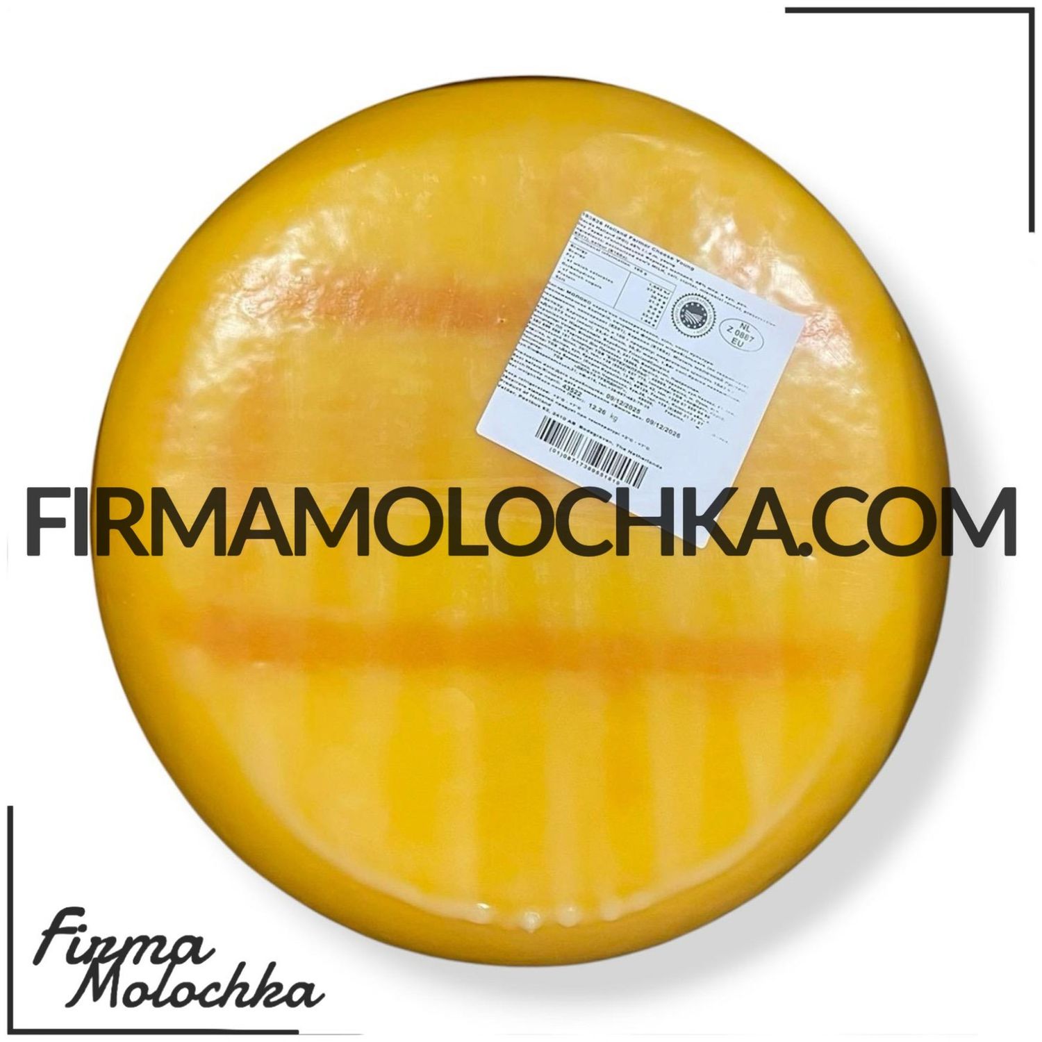 Сир гауда HOLLAND CHEESE YOUNG (круг) 12кг