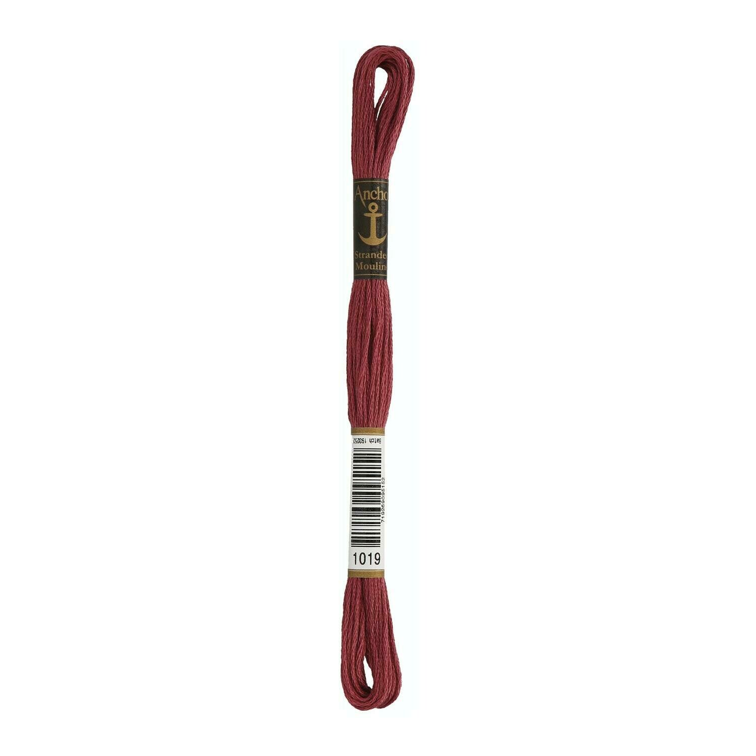 Anchor Stranded Cotton #01019, Configurazione: Matassa