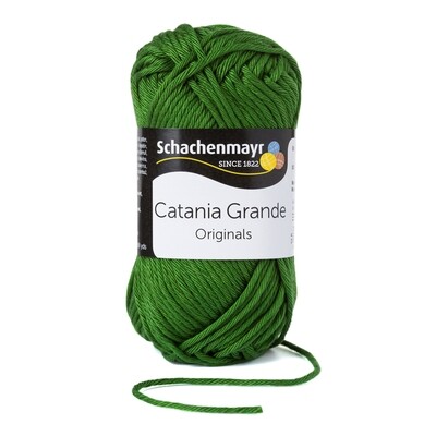 SMC Catania Grande #03392