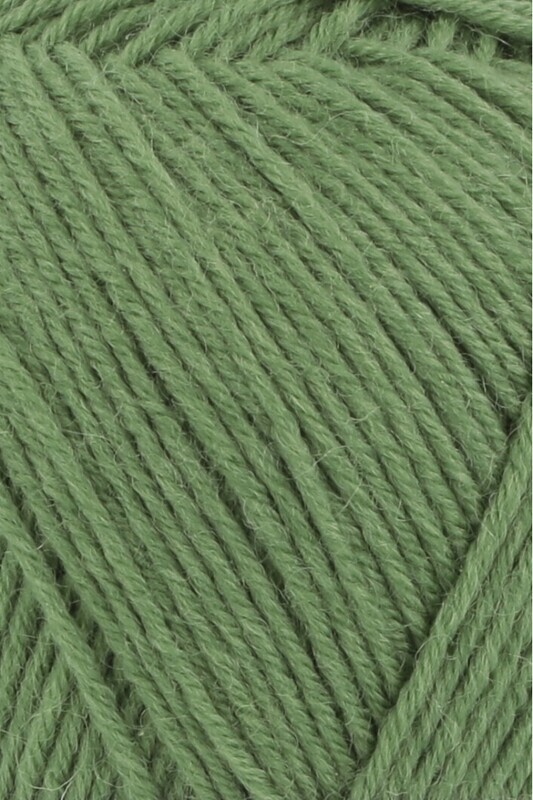 Lang Super Soxx 6 ply #0198