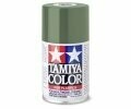 TS-78 Feldgrau 2 matt 100ml