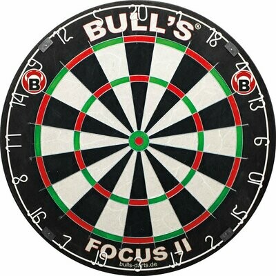 Steeldarts Scheiben