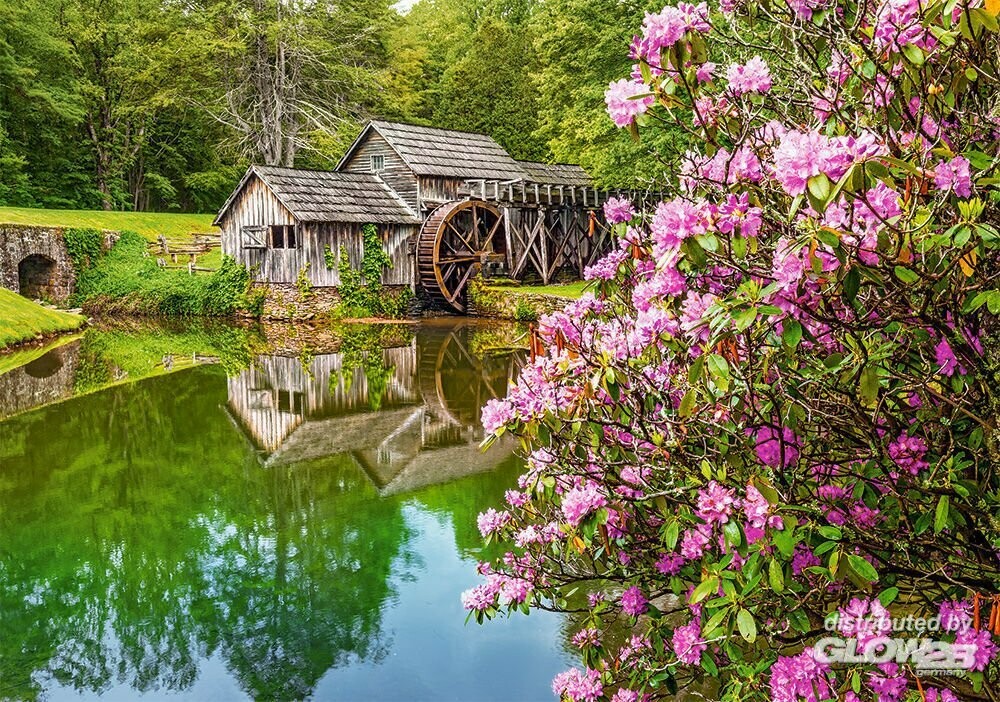 Mill by the Pond 4438053490