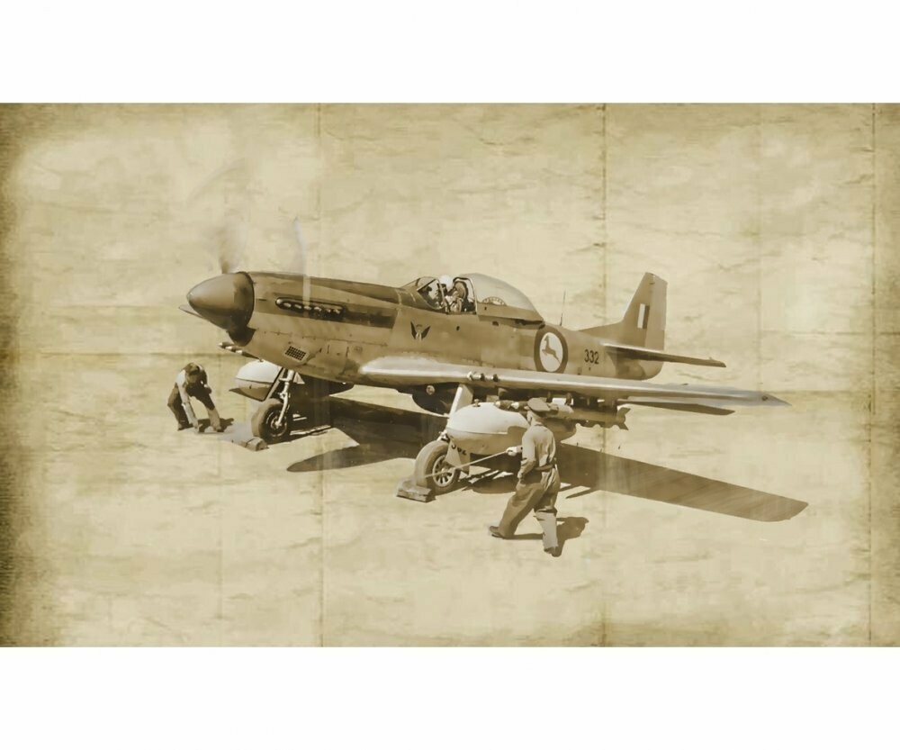 Mutang F-51D Korean War in 1:72     1452