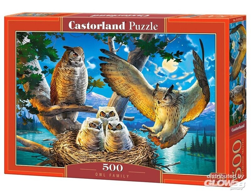 Owl Family