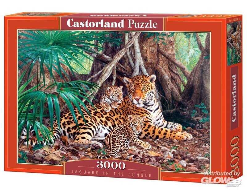 Jaguars in the jungle