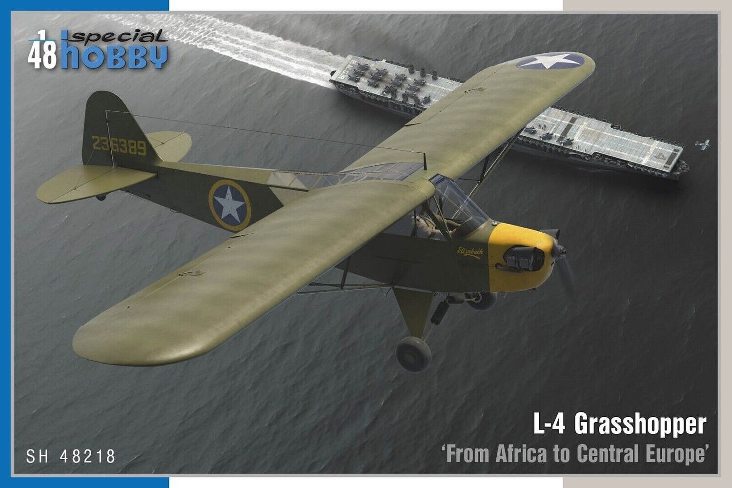 L-4 Grasshopper in 1:48