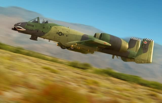 A-10 Thunderbolt II in 1:48 / 80323