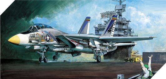 F-14A in 1:48 / 12253