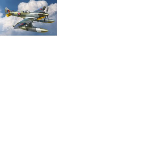 Spitfire Floatplane in 1:72 / 72019