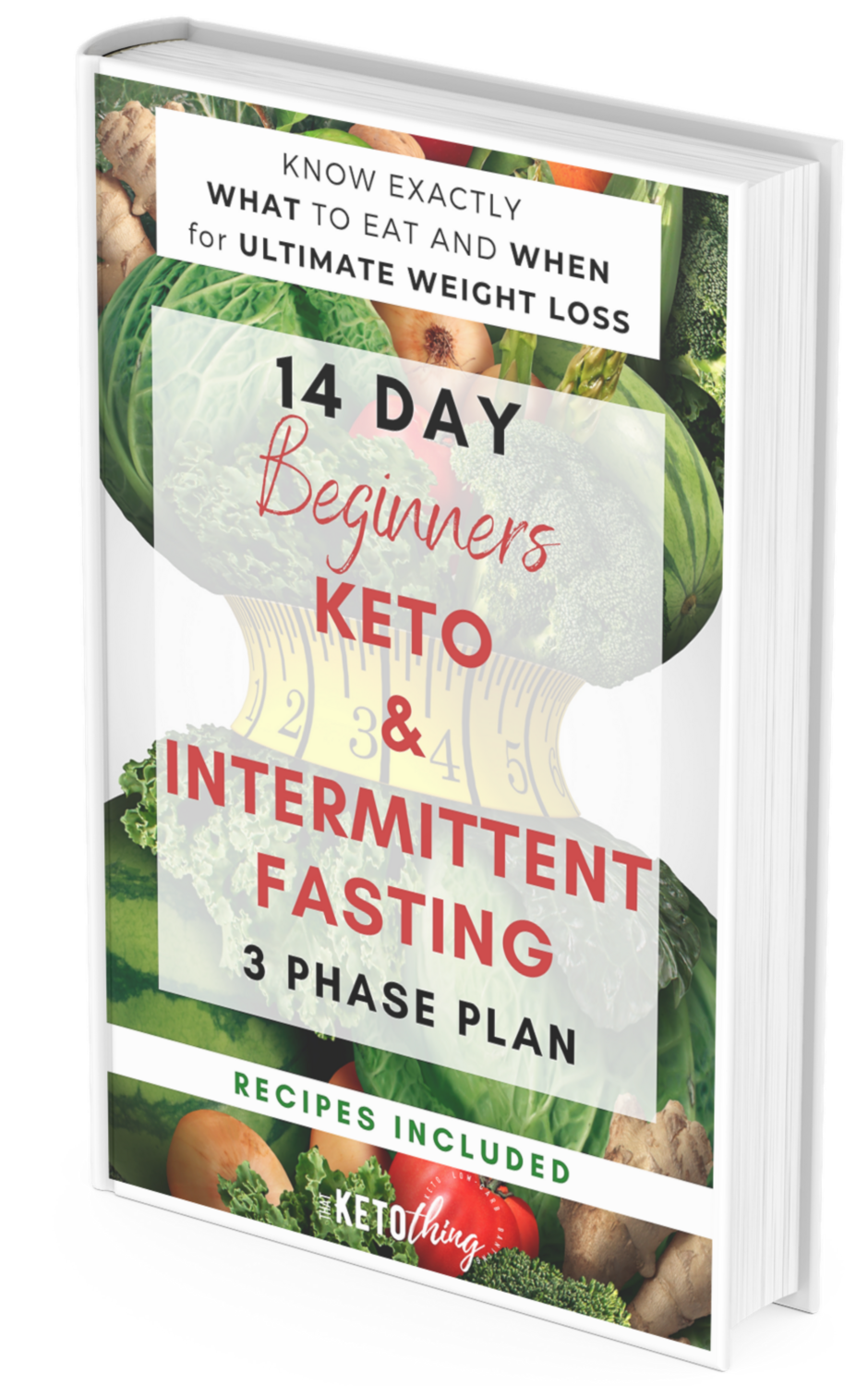 14 Day BEGINNERS Keto &amp; Intermittent Fasting Plan (Digital Ebook)