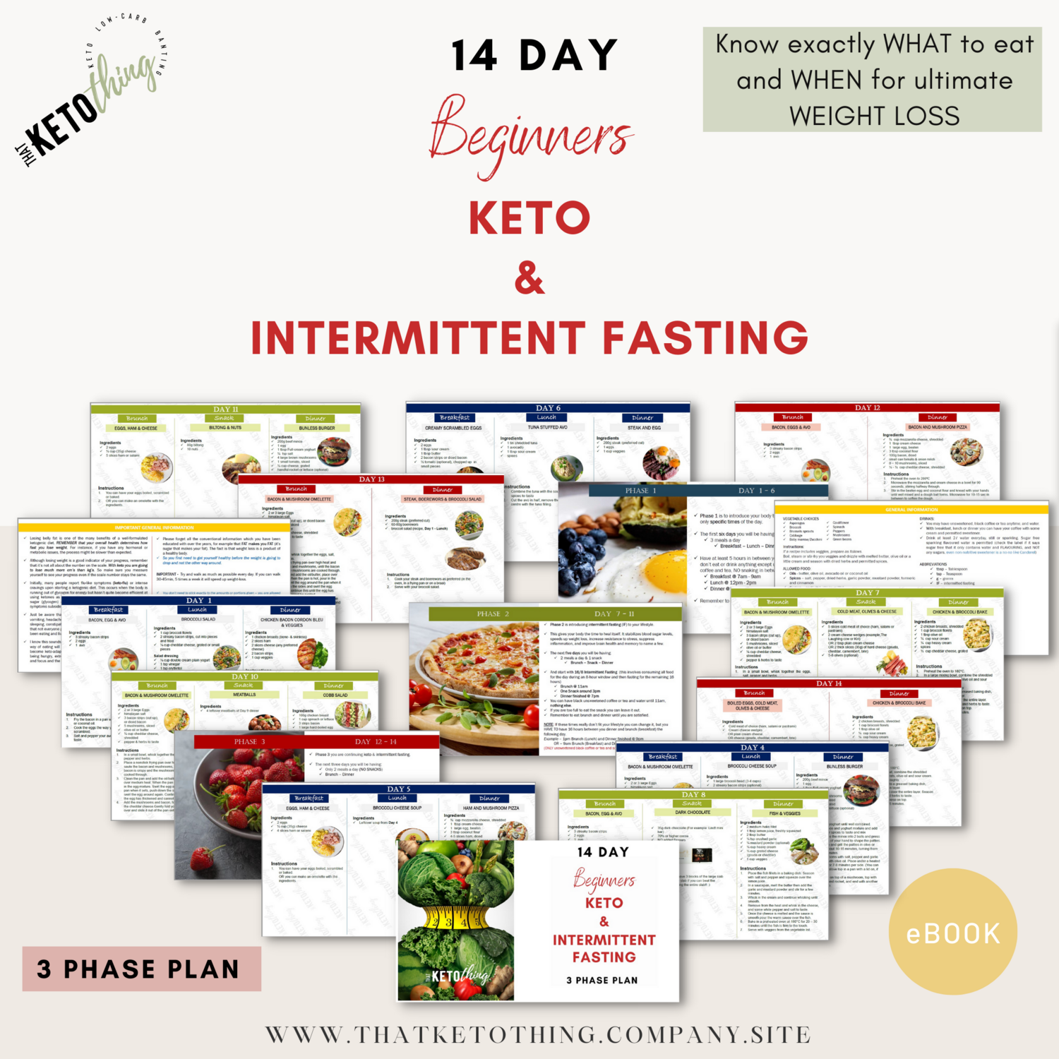 14 Day BEGINNERS Keto &amp; Intermittent Fasting Plan (Digital Ebook)
