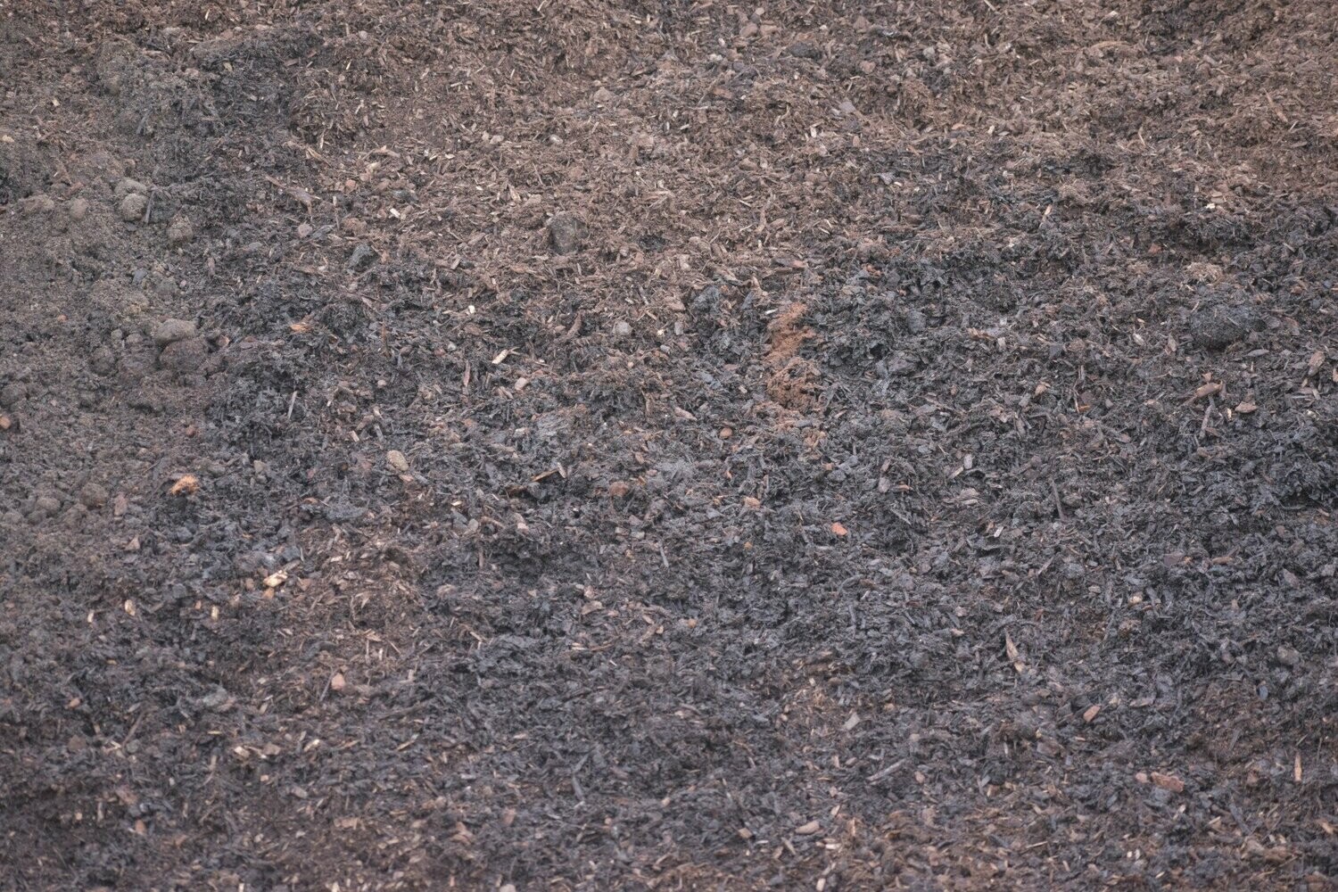Rich Mulch