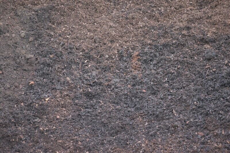 Rich Mulch