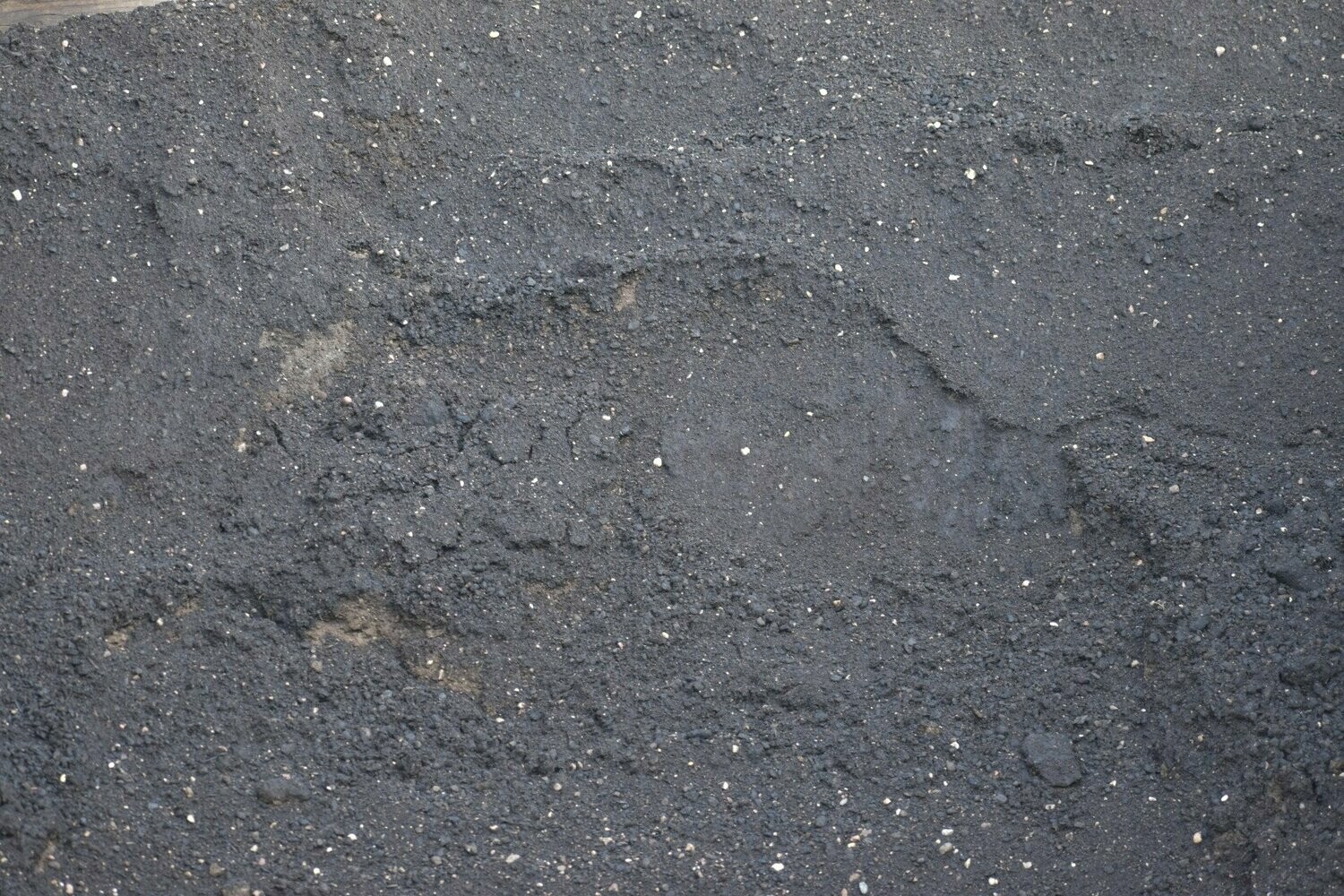 Cow Manure