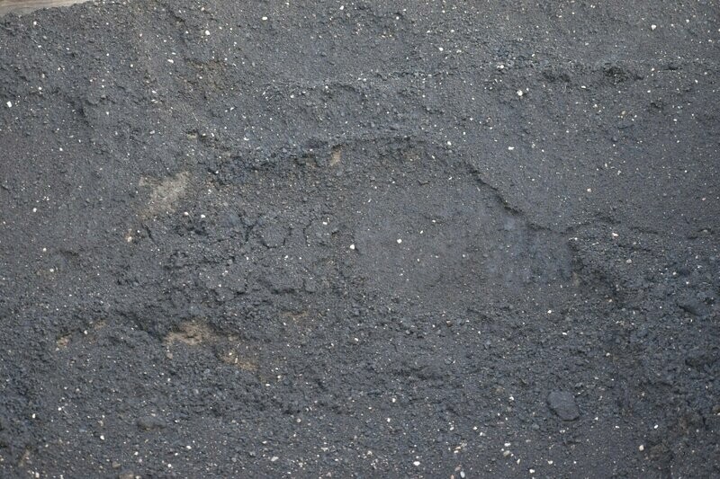 Cow Manure