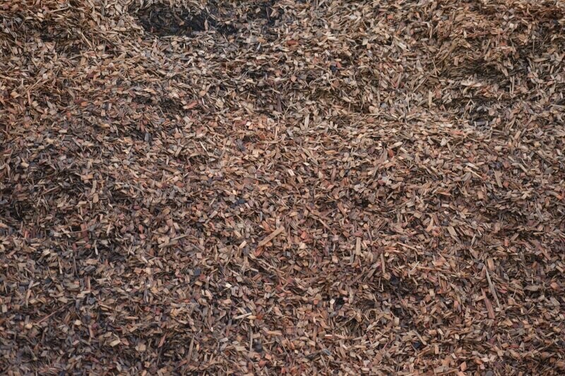 Wood Chip