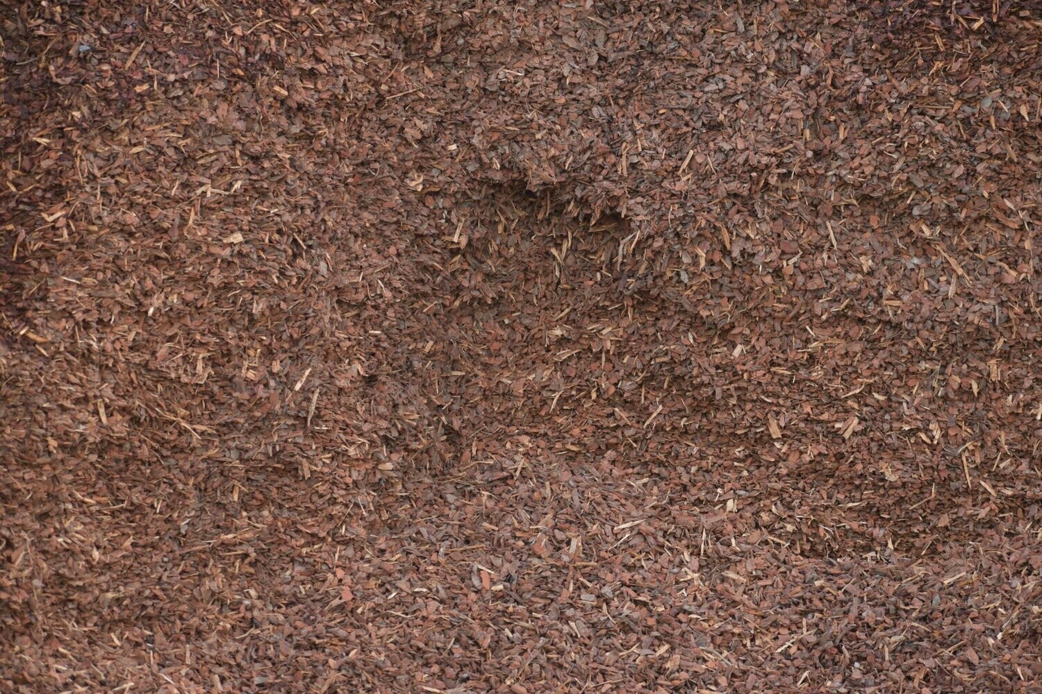 Fine Pinebark