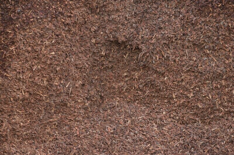 Fine Pinebark