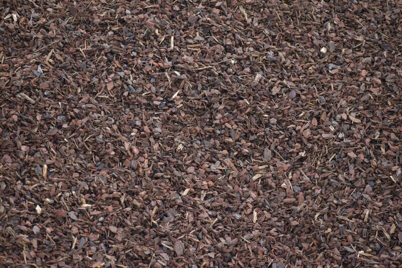 Coarse Pinebark