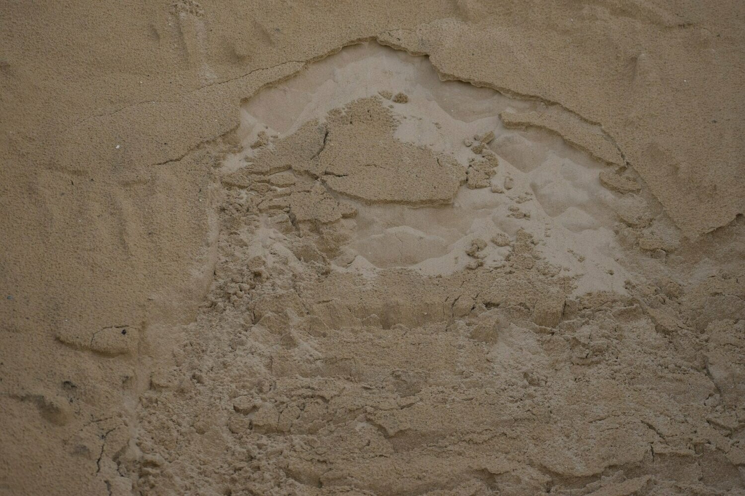 Beach Sand