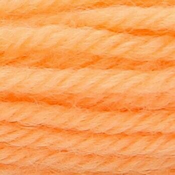 Anchor Tapisserie Wool #09532