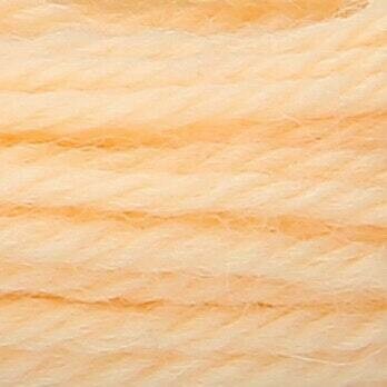 Anchor Tapisserie Wool #09522