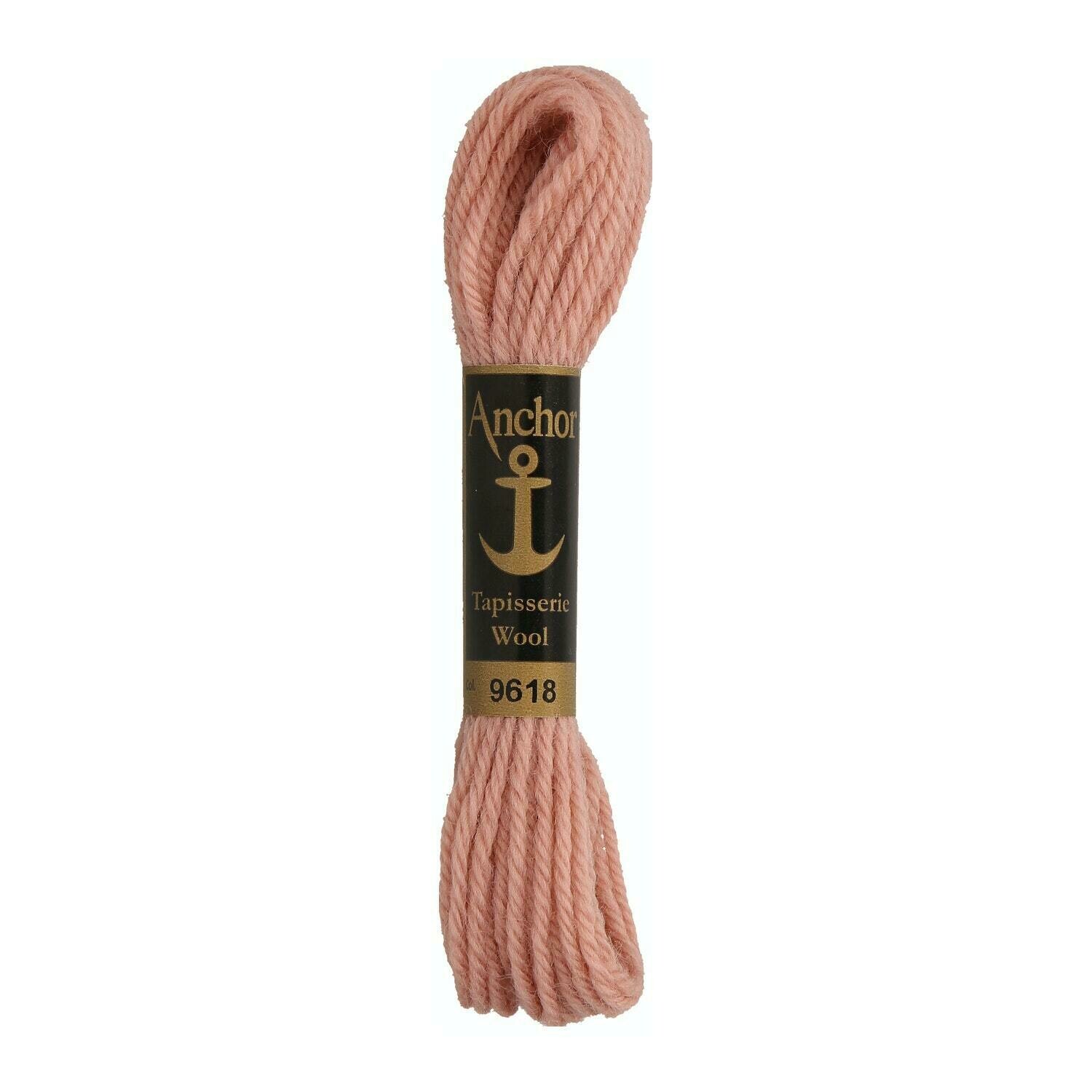 Anchor Tapisserie Wool #09618