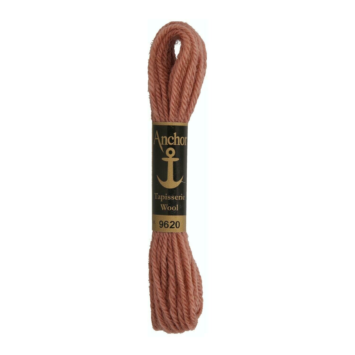 Anchor Tapisserie Wool #09620
