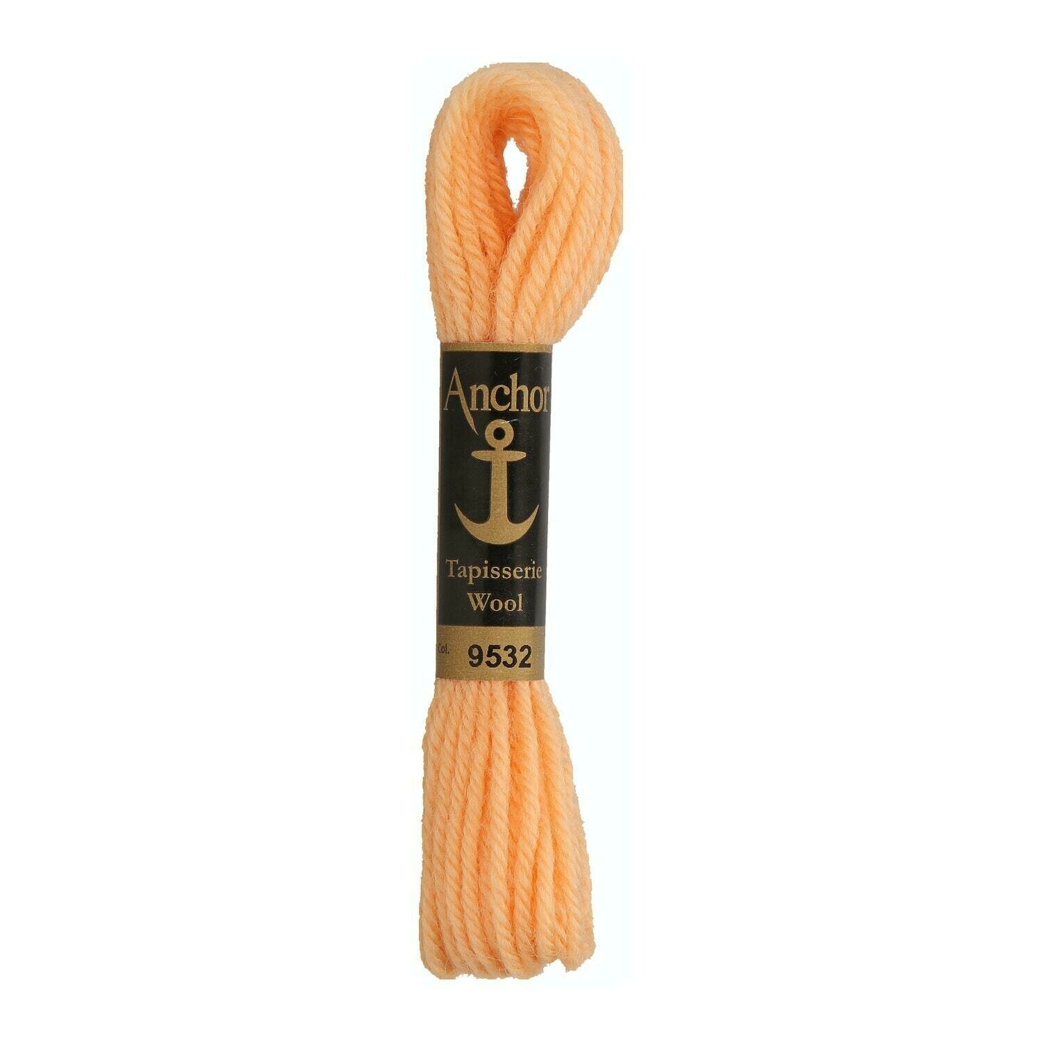 Anchor Tapisserie Wool #09532