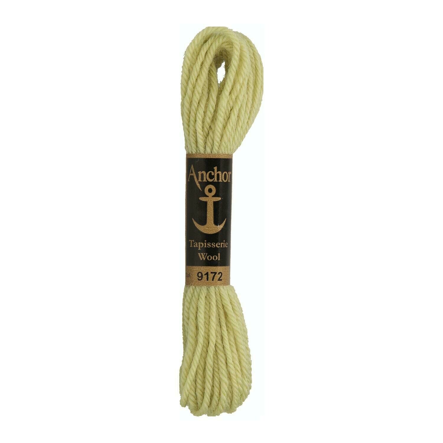 Anchor Tapisserie Wool #09172