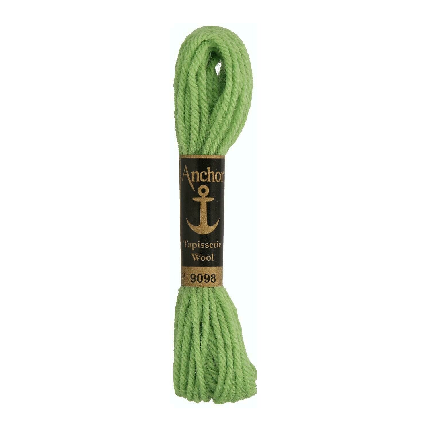 Anchor Tapisserie Wool #09098
