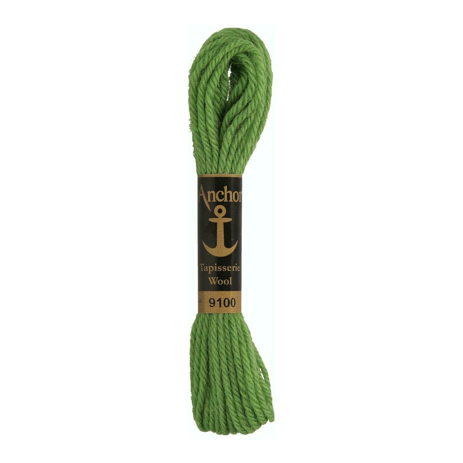 Anchor Tapisserie Wool #09100