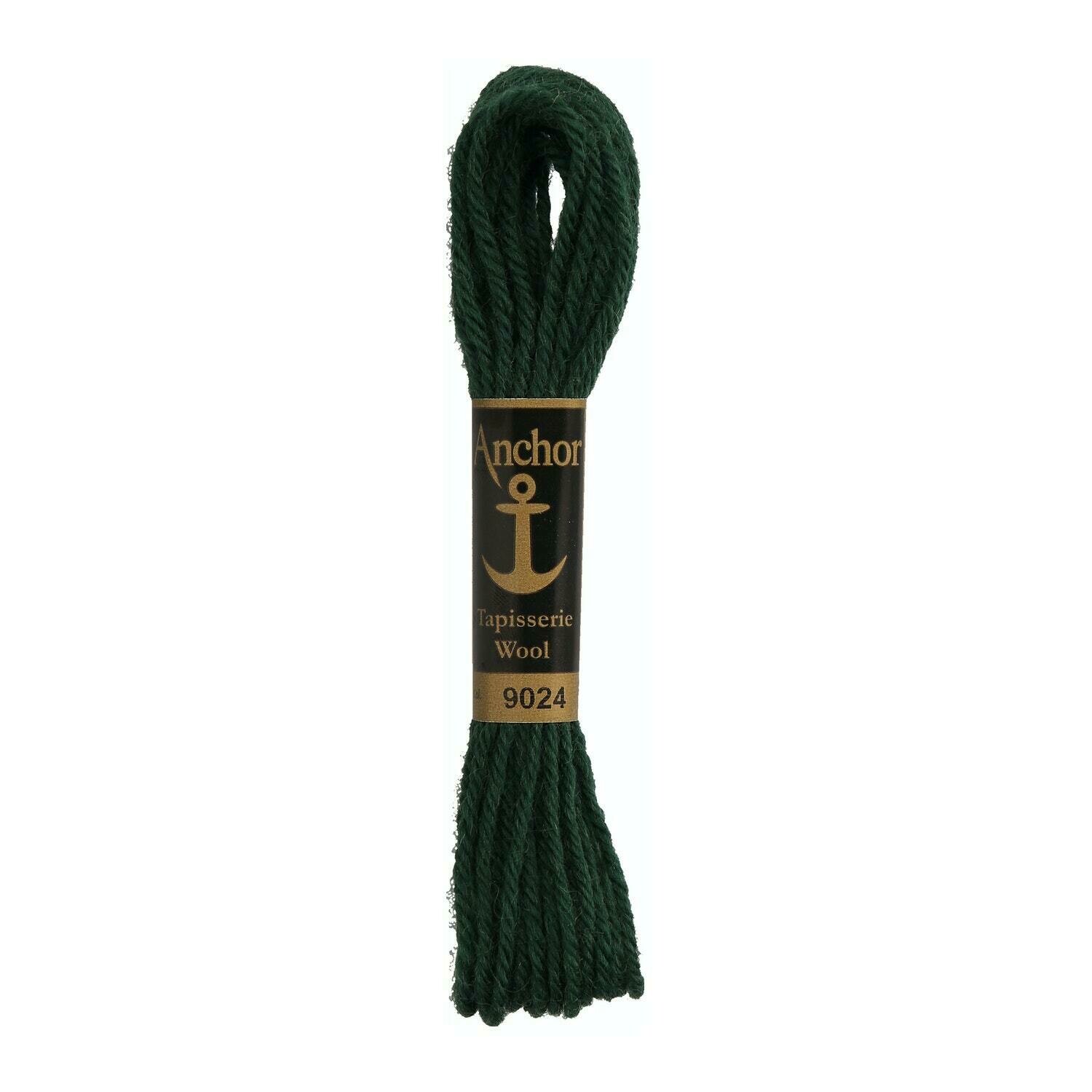 Anchor Tapisserie Wool #09024