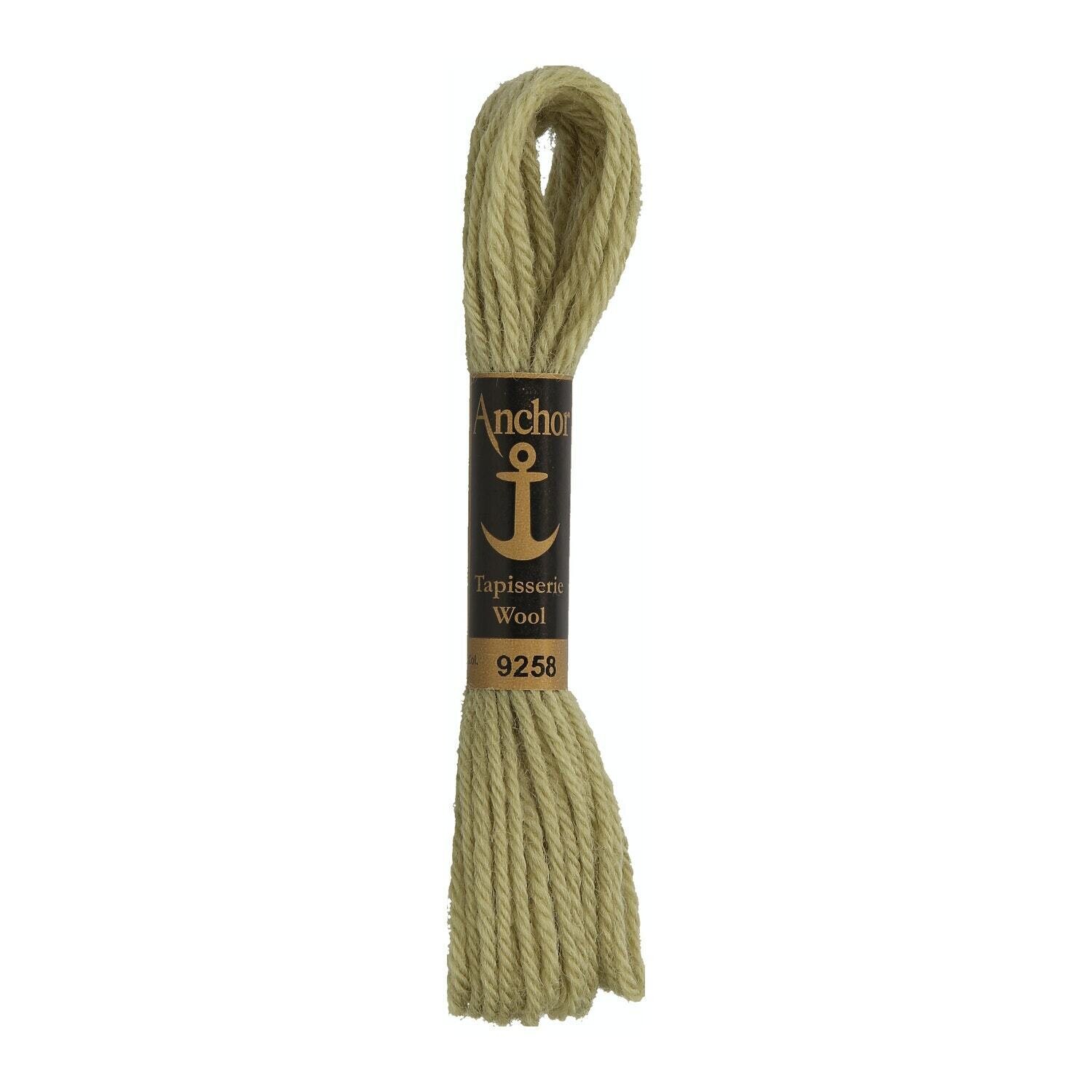 Anchor Tapisserie Wool #09258